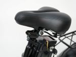 Vélo Électrique 20 Pouces Fat Bike
