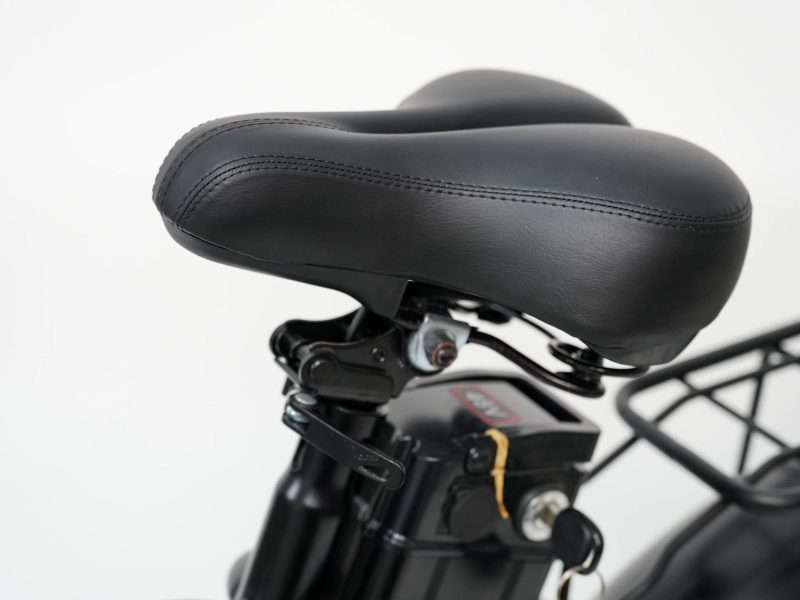 Vélo Électrique 20 Pouces Fat Bike